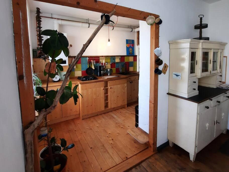Altbau Charme & Mittendrin Stralsund Buitenkant foto